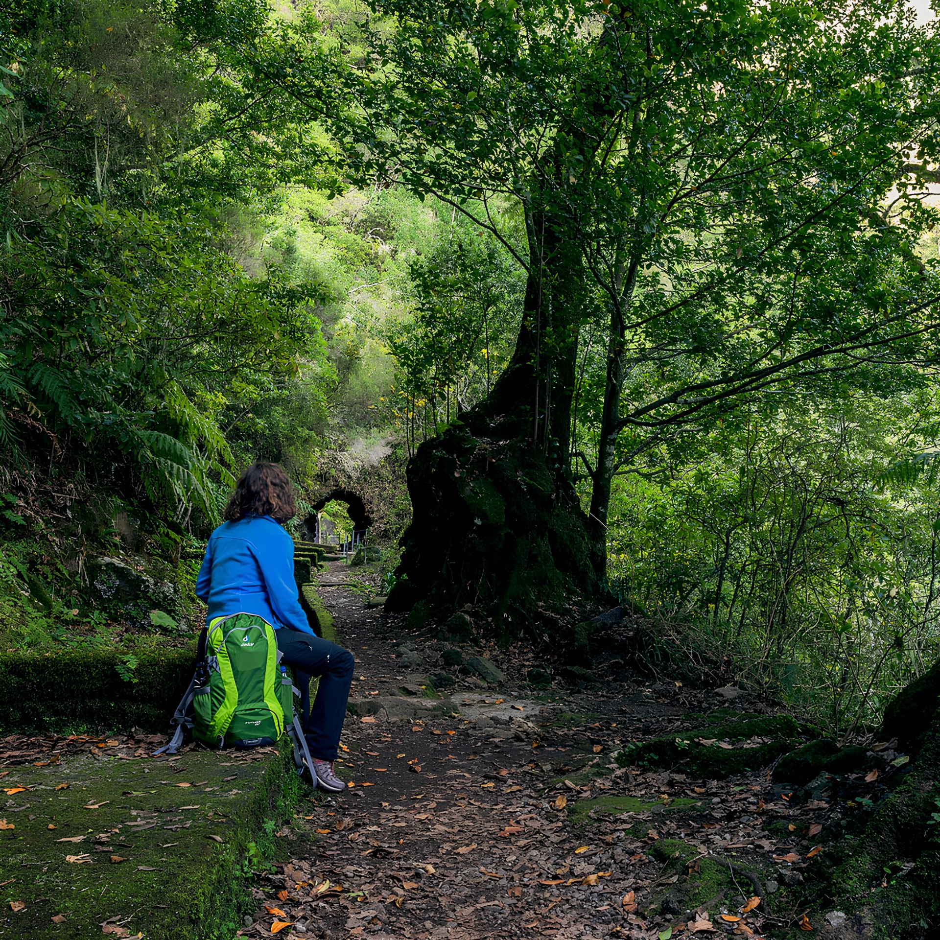Caminho do Pináculo e Folhadal