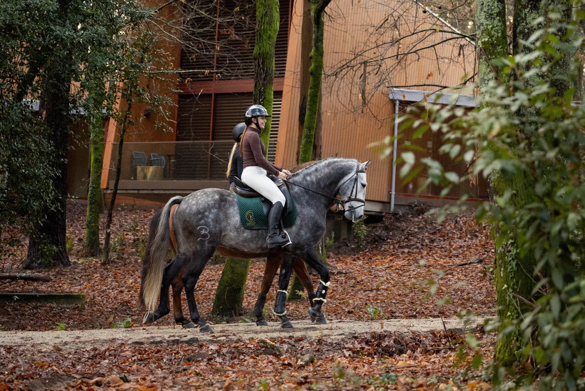 O Torre de Gomariz Wine & Spa Hotel conta agora com um Centro Equestre, que traz novas experiências e atividades para os nossos hóspedes e não hóspedes.