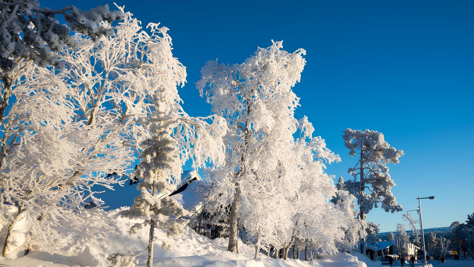 Saariselkä: natureza e tranquilidade no Ártico