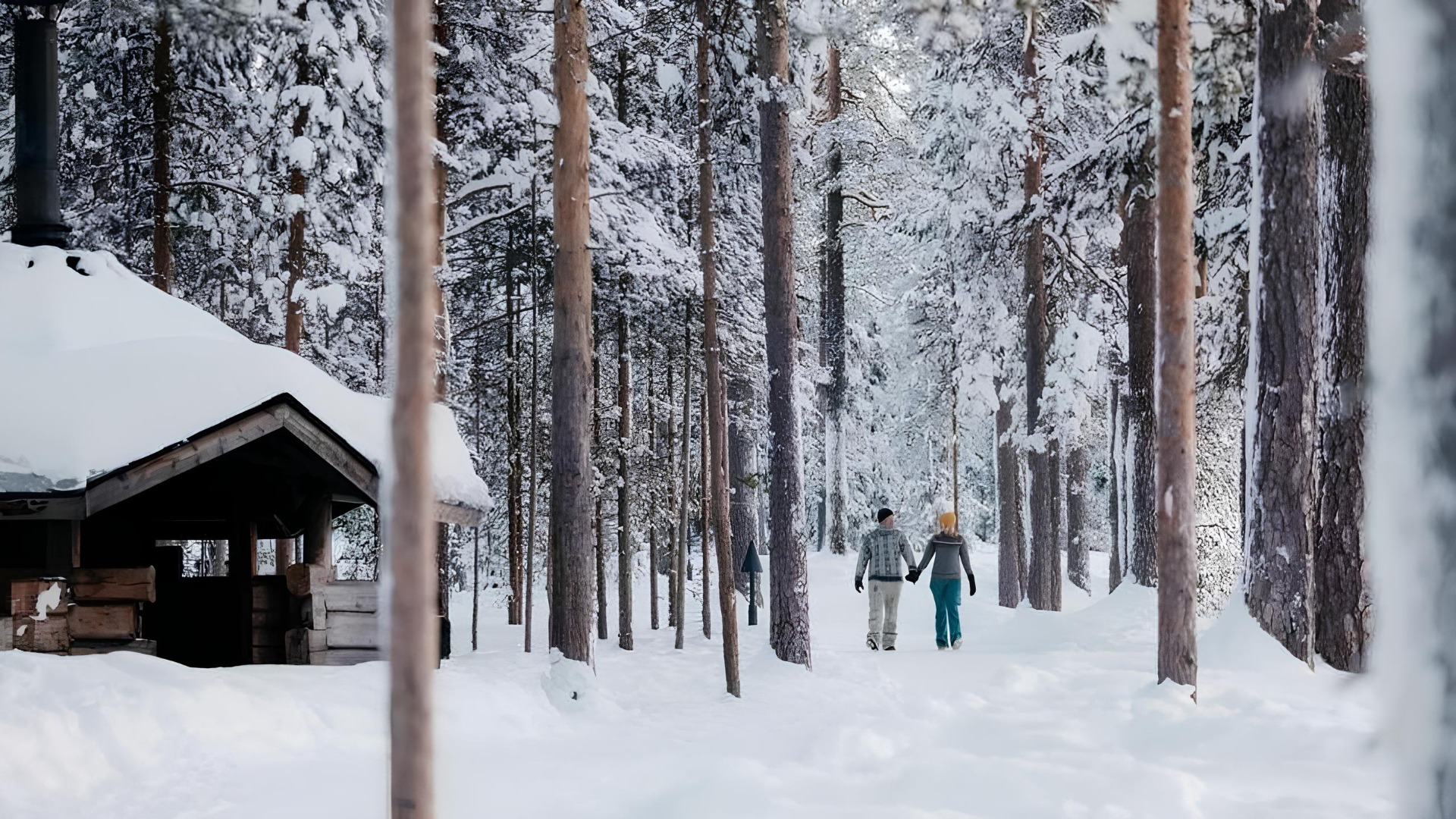 Parque Nacional de Pyhä-Luosto