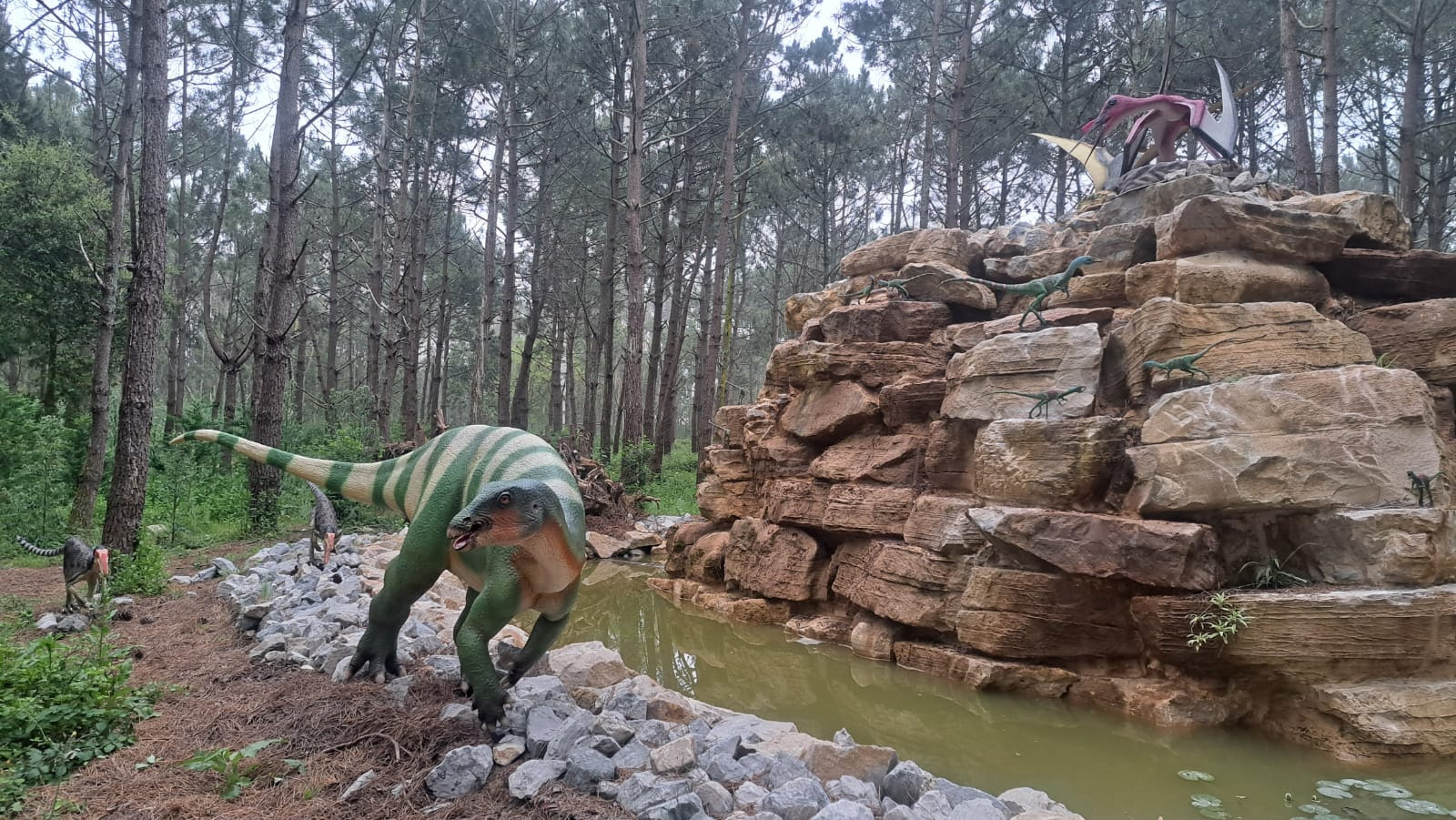 Dino Parque Lourinhã dá início ao Verão com Sunset do Solstício e atividades ao ar livre para famílias