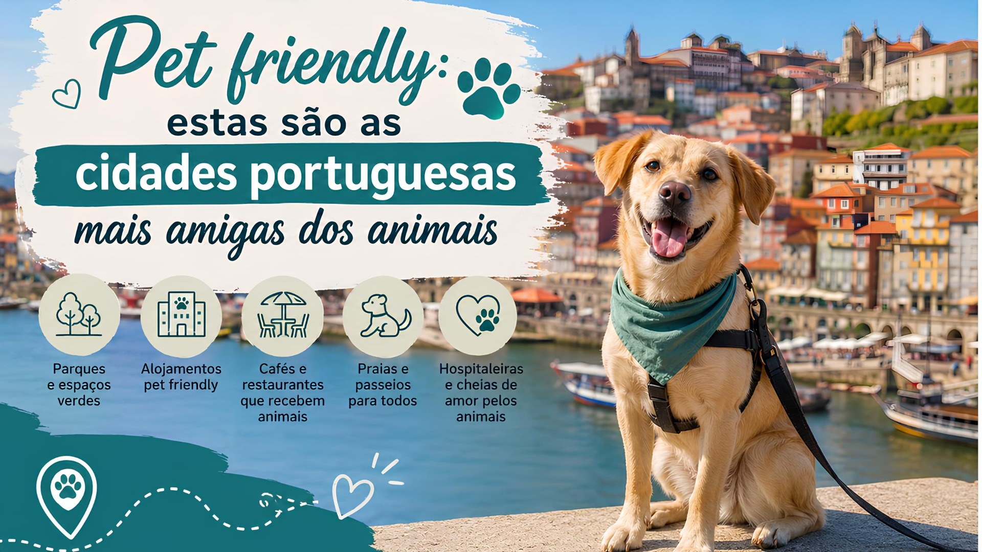Pet friendly: estas são as cidades portuguesas mais amigas dos animais