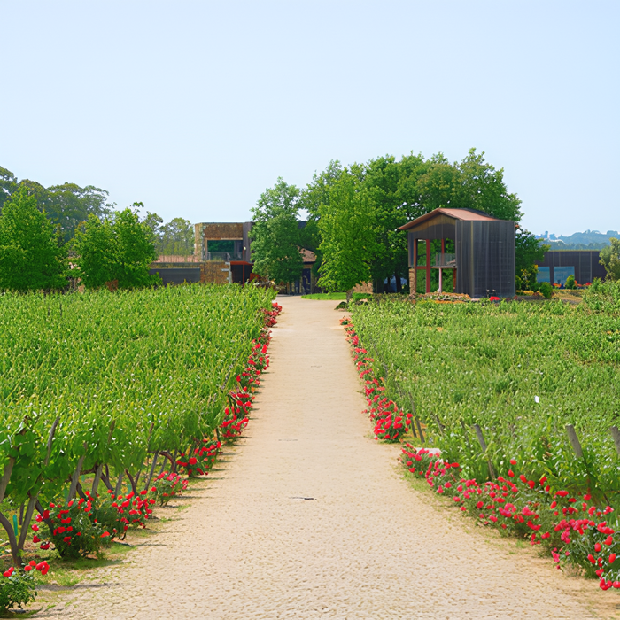 Monverde Wine Experience Hotel  