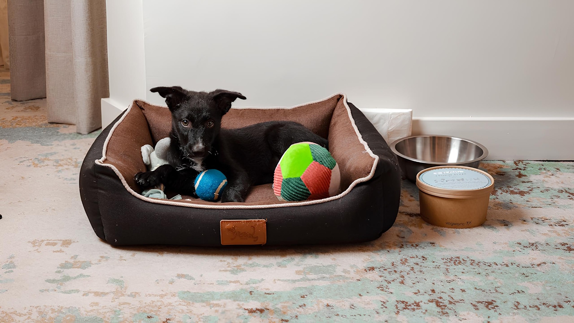 Um novo kit e uma experiência preparada especialmente pelo hotel para que os hóspedes de quatro patas desfrutem de uma estadia cinco estrelas.
A pensar no bem-estar de toda a família, o Crowne Plaza Porto reforça a sua oferta pet friendly, assegurando que os companheiros de quatro patas também se sentem em casa durante a estadia na cidade Invicta.
Assim que chegam ao hotel, os animais são recebidos como verdadeiros hóspedes, com uma saudação especial que assinala o início da sua estadia.