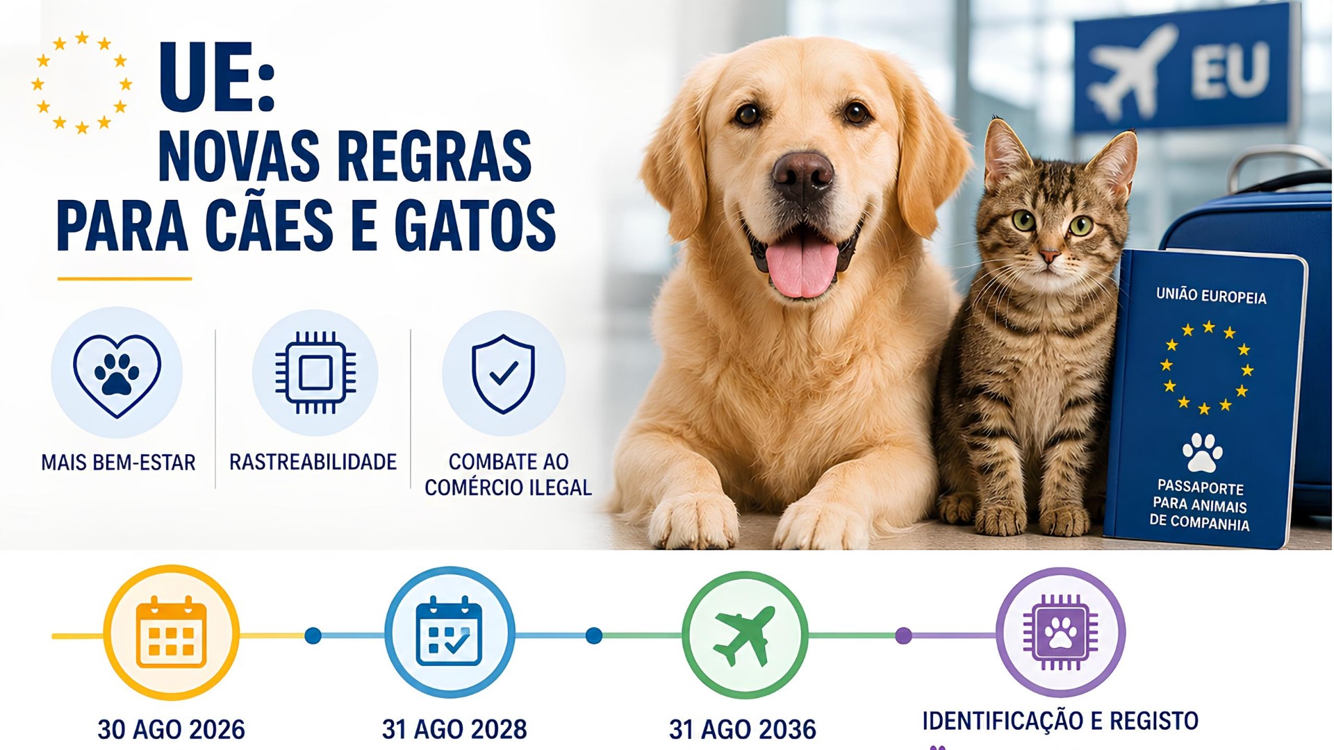 A União Europeia aprovou um novo conjunto de regras destinadas a reforçar o bem-estar e a rastreabilidade de cães e gatos. O Regulamento (UE) 2026/1818, publicado a 10 de agosto no Jornal Oficial da UE, entrou formalmente em vigor a 30 de agosto de 2026, mas a maioria das medidas só começará a ser aplicada a partir de 31 de agosto de 2028.

Esta é a primeira vez que a União Europeia estabelece normas comuns para todos os Estados-Membros nesta matéria, com o objetivo de melhorar a proteção dos animais e combater o comércio ilegal.