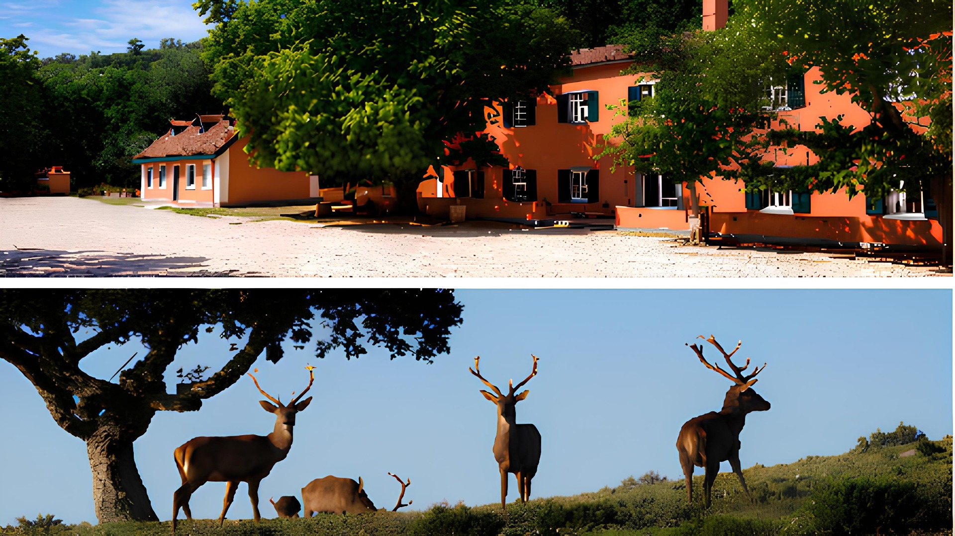 Casa do Salabredo + Tapada Nacional de Mafra
A Tapada Nacional de Mafra é um dos mais importantes espaços naturais e históricos de Portugal, criada no século XVIII para servir de reserva de caça e lazer da família real portuguesa. Com centenas de hectares de floresta preservada, alberga uma rica biodiversidade, incluindo veados, gamos e javalis, proporcionando experiências únicas de contacto com a natureza e observação da vida selvagem.
No interior da Tapada encontra-se a Casa de Hóspedes da Tapada, conhecida historicamente como Casa do Salabredo. Antiga residência de apoio à administração da Tapada, foi convertida em alojamento turístico, preservando o seu caráter histórico e rural. Rodeada por jardins, esculturas e paisagens naturais de grande beleza, oferece uma experiência de estadia tranquila e exclusiva em plena floresta.