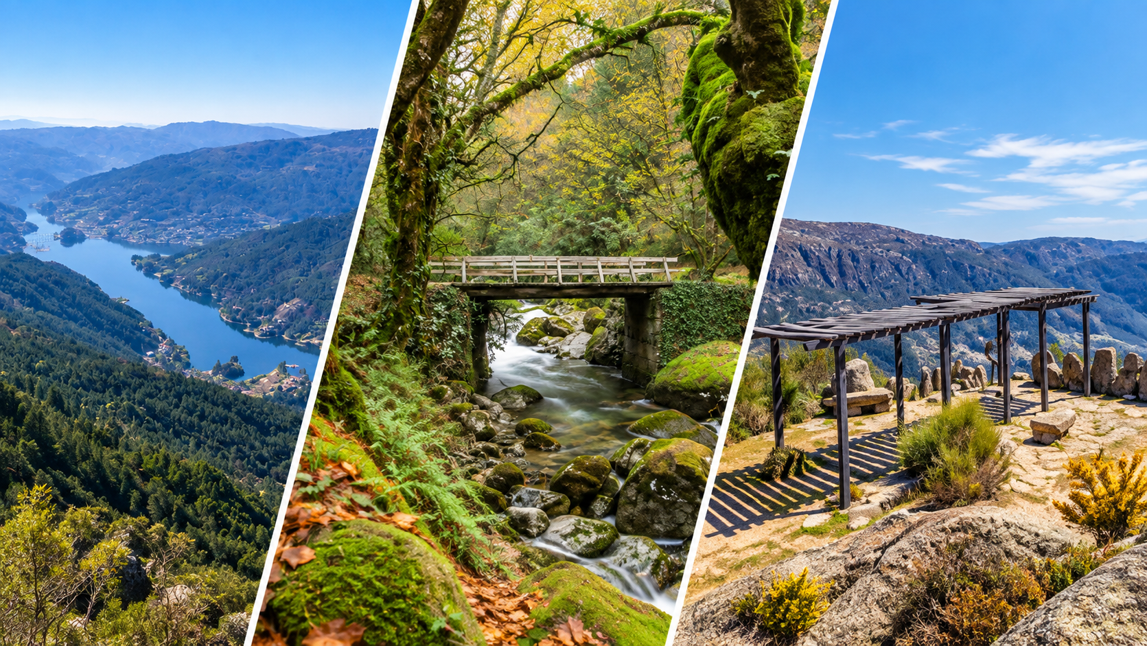 No Parque Nacional da Peneda-Gerês, a Mata da Albergaria destaca-se como um dos locais mais emblemáticos para apreciar as cores da estação. Os carvalhos ganham tons quentes e os caminhos antigos que atravessam a mata tornam-se ainda mais convidativos. É também uma excelente altura para percorrer os trilhos da região, passando por aldeias de pedra, rios cristalinos e pequenas cascatas envolvidas pela tranquilidade do Outono.