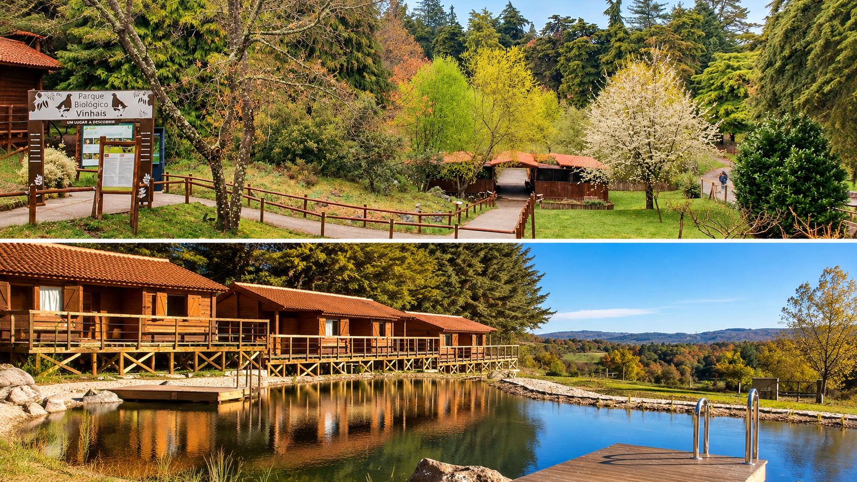 No coração do Parque Natural de Montesinho, o Parque Biológico de Vinhais é um destino perfeito para quem procura tranquilidade, natureza e experiências ao ar livre. Para prolongar a visita, o parque disponibiliza alojamentos como bungalows e pods de madeira, ideais para uma escapadinha diferente em família ou a dois.