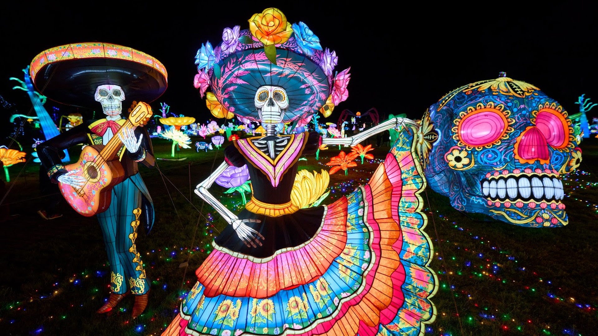 O Zoo Santo Inácio, em Avintes, inaugura esta sexta-feira, 16 de outubro, uma edição especial das Luzes Selvagens, que celebra cinco anos do espetáculo com novos espaços temáticos inspirados no Día de los Muertos e no Natal.
Até 30 de dezembro, aos fins de semana, feriados e durante as férias escolares, os visitantes poderão percorrer um cenário mágico com centenas de figuras iluminadas de animais e plantas.
Em outubro, o evento decorre das 16h30 às 20h30, passando para as 17h30 às 20h30 em novembro e dezembro.