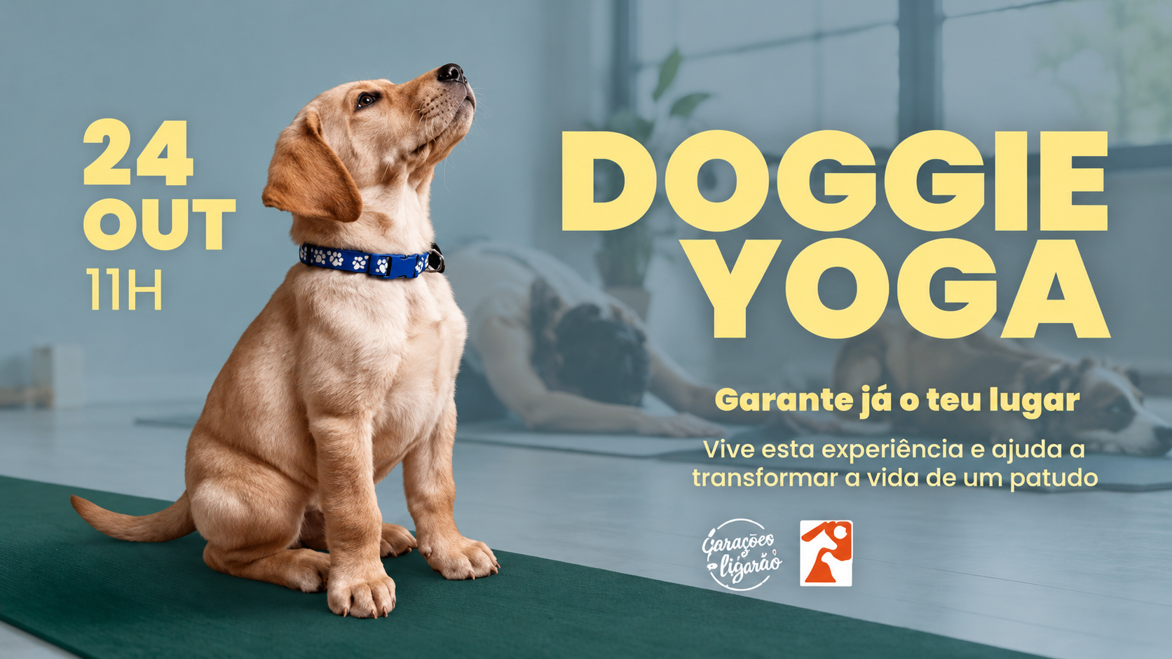 O Doggie Yoga regressa no dia 24 de outubro, às 11h, à Garagem da Vizinha, em Picoas, Lisboa, para uma aula especial que combina bem-estar, relaxamento e solidariedade animal.

Orientada por Rita Gon, a sessão convida os participantes a desfrutar de uma hora de yoga na companhia de cães da União Zoófila, todos à procura de uma família que os acolha. A iniciativa pretende proporcionar um momento de descontração e partilha, dando também visibilidade à adoção responsável.